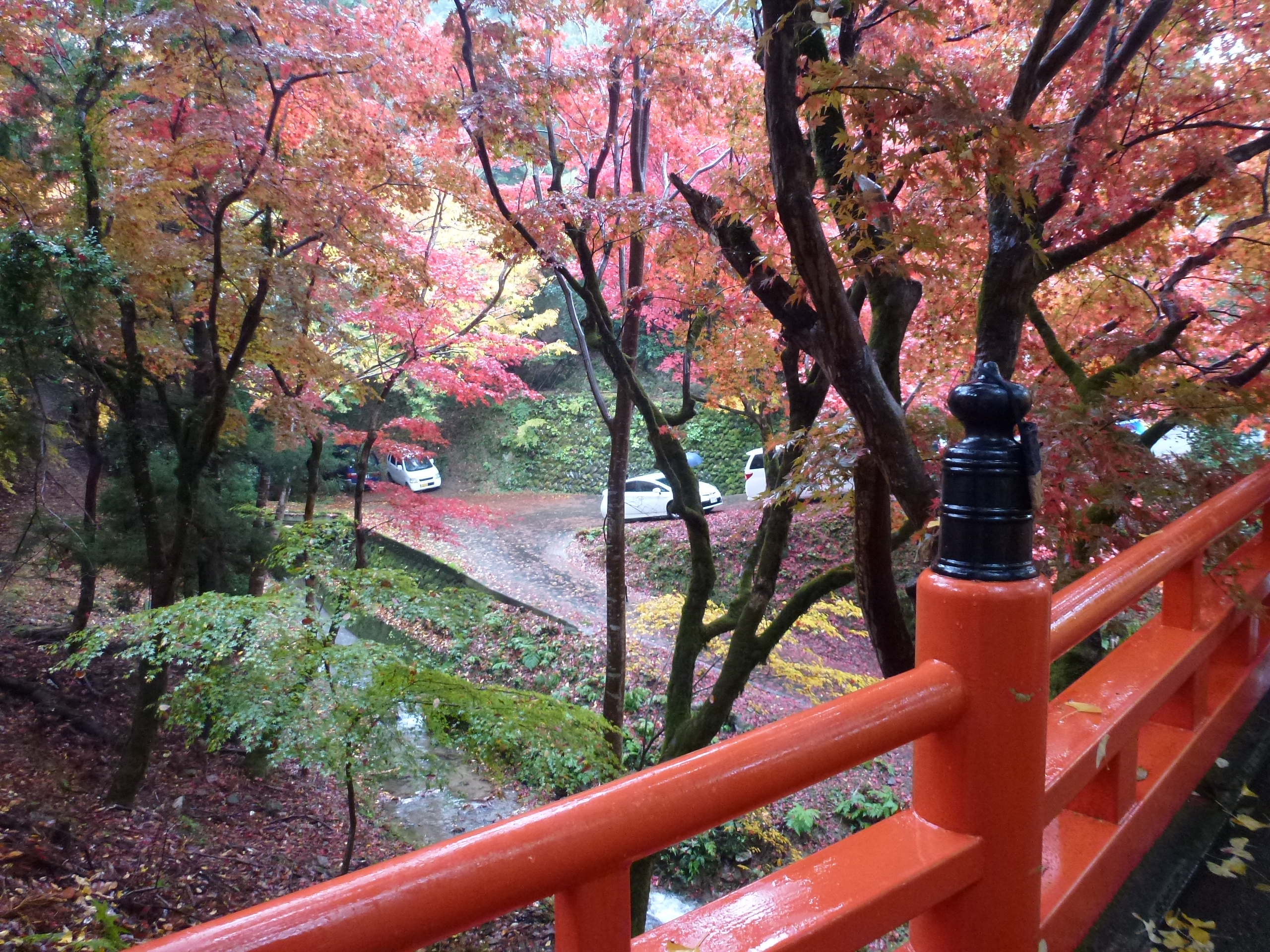 P1080104.JPG