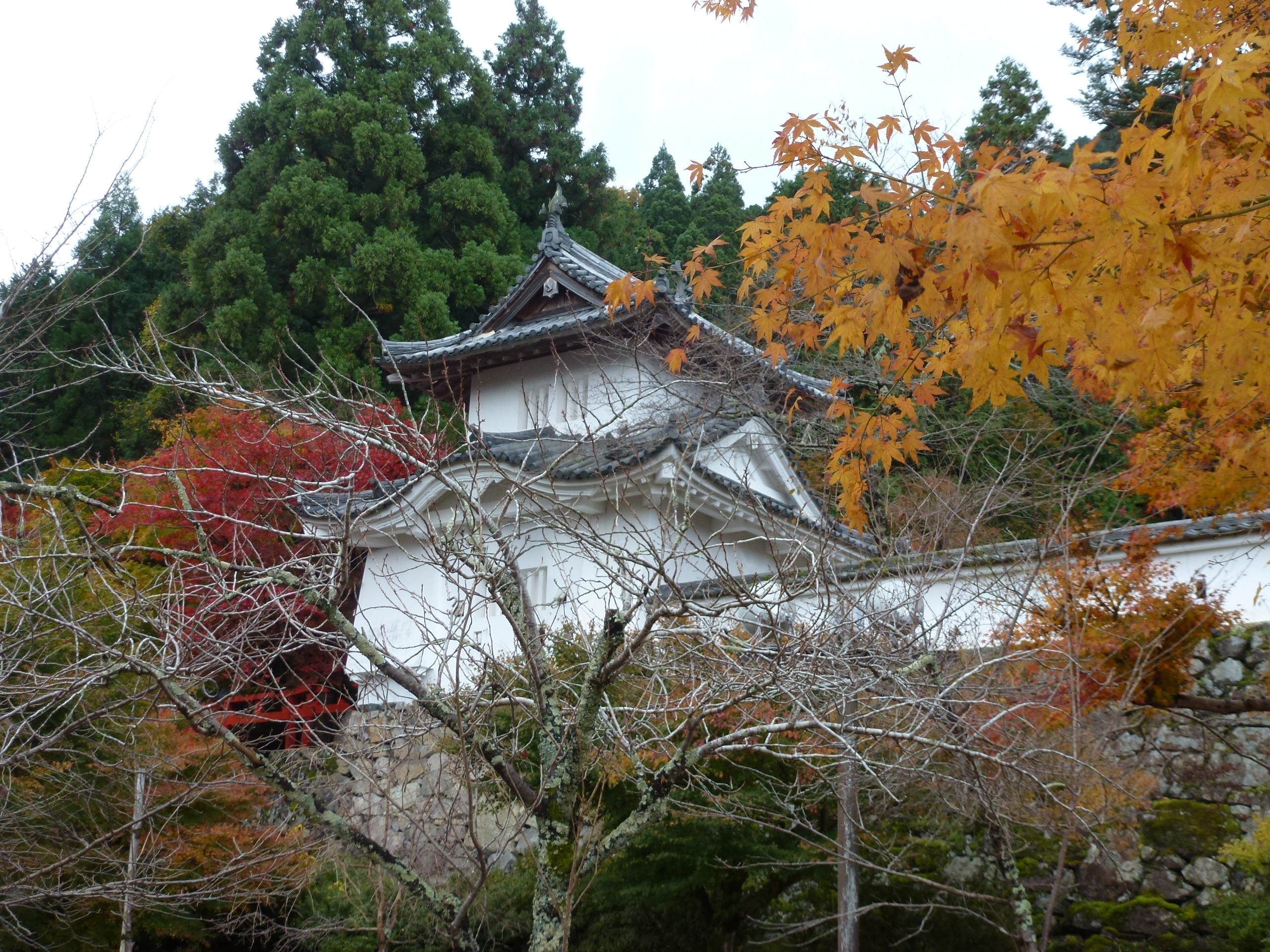 P1080121.JPG