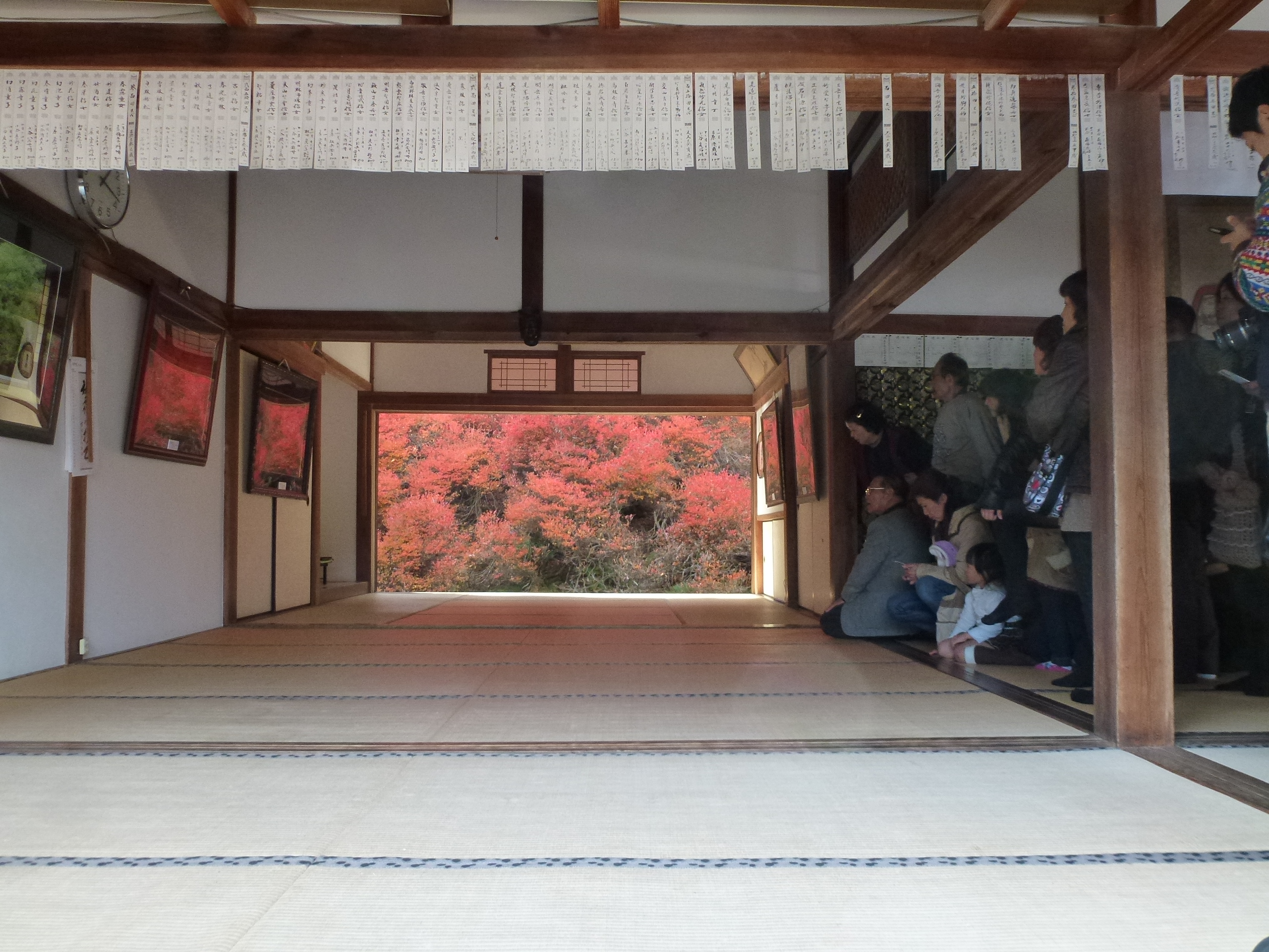 P1080135.JPG