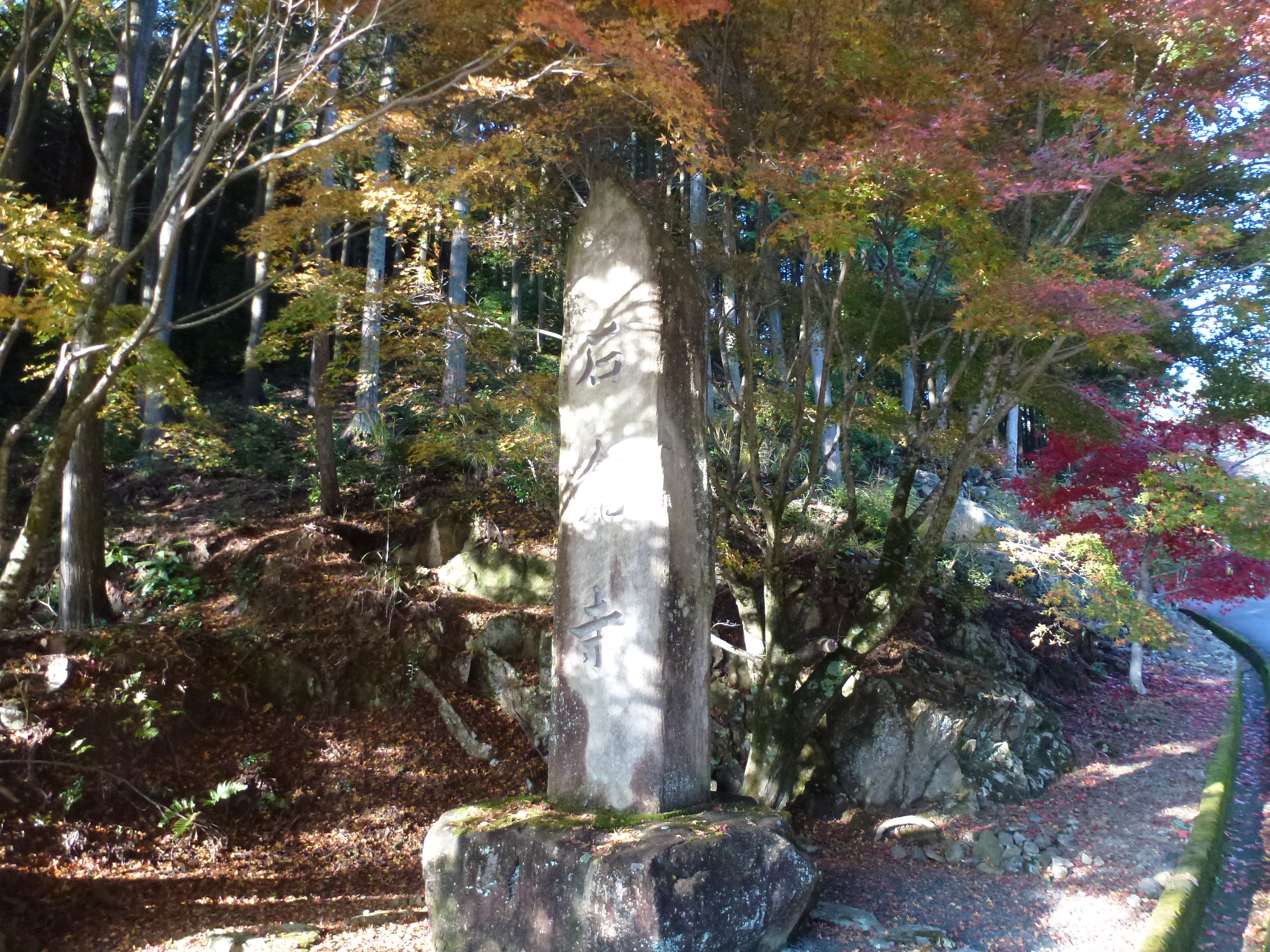 P1080137.JPG