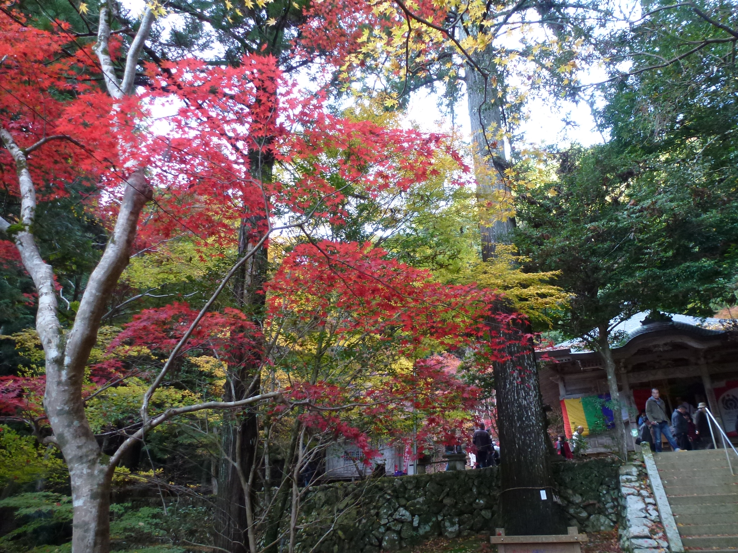 P1080148.JPG