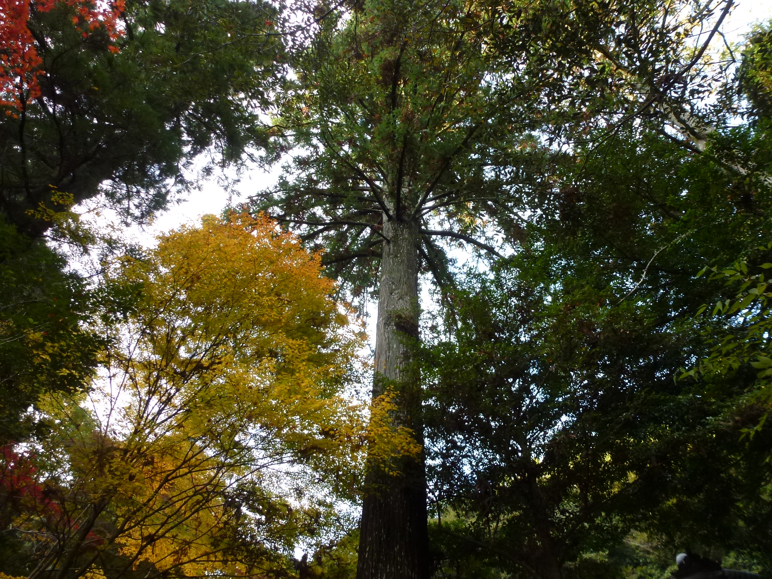 P1080149.JPG
