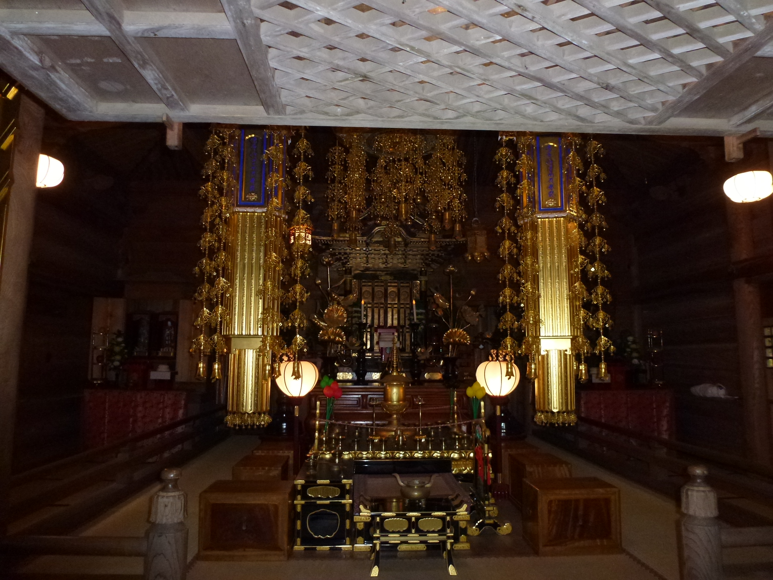 P1080155.JPG