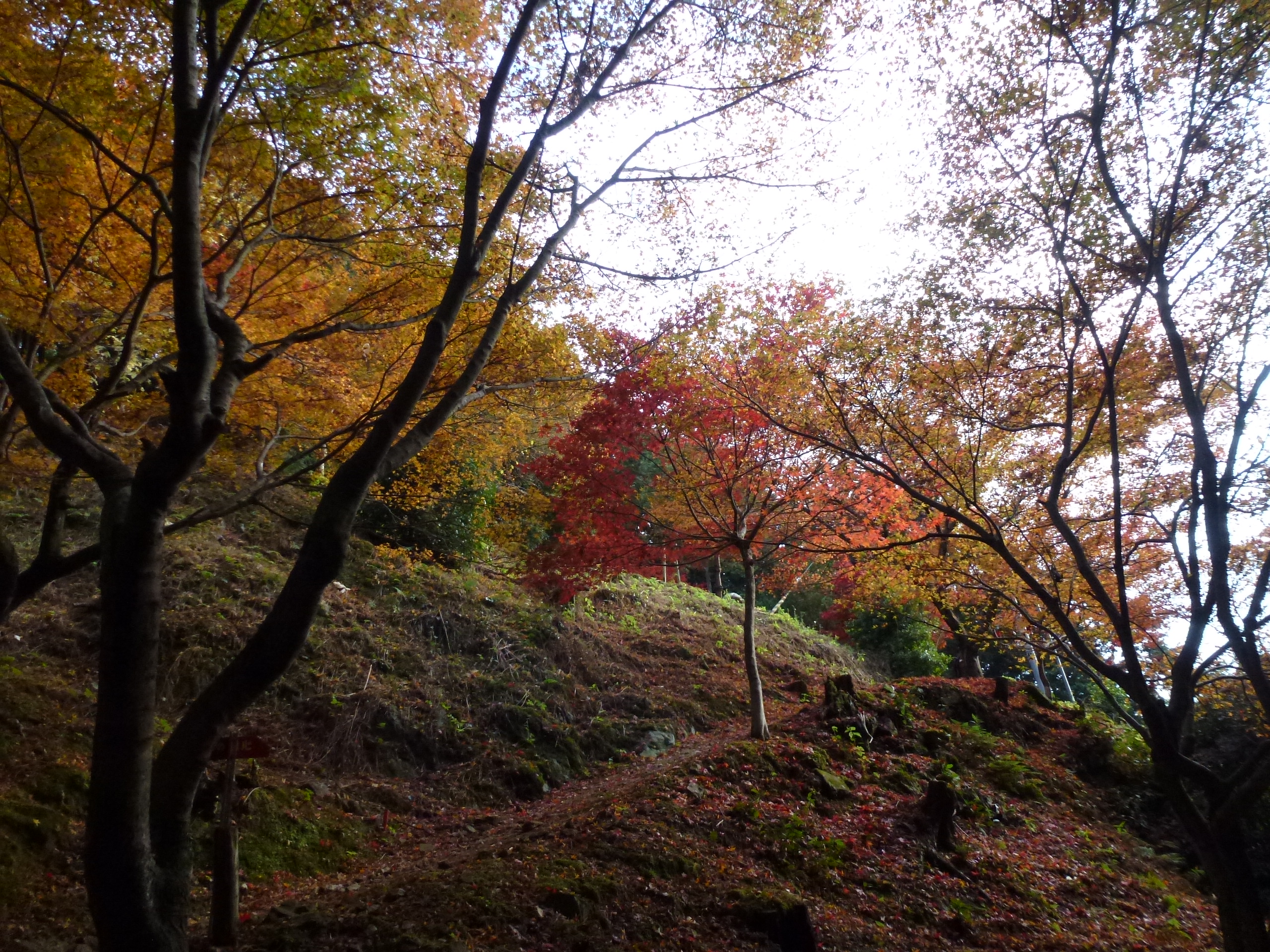 P1080157.JPG