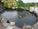 img0000.jpg