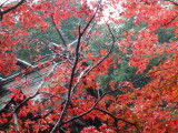 img0008.jpg