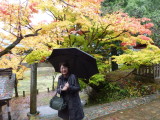 img0009.jpg