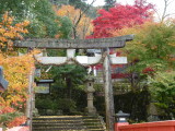 img0031.jpg