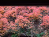 img0033.jpg