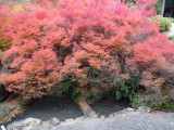 img0035.jpg