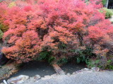 img0036.jpg