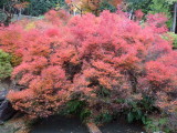 img0037.jpg