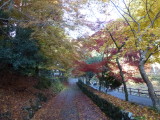 img0049.jpg