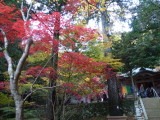 img0050.jpg