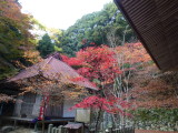 img0052.jpg