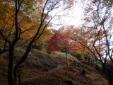 img0057.jpg
