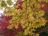 img0058.jpg
