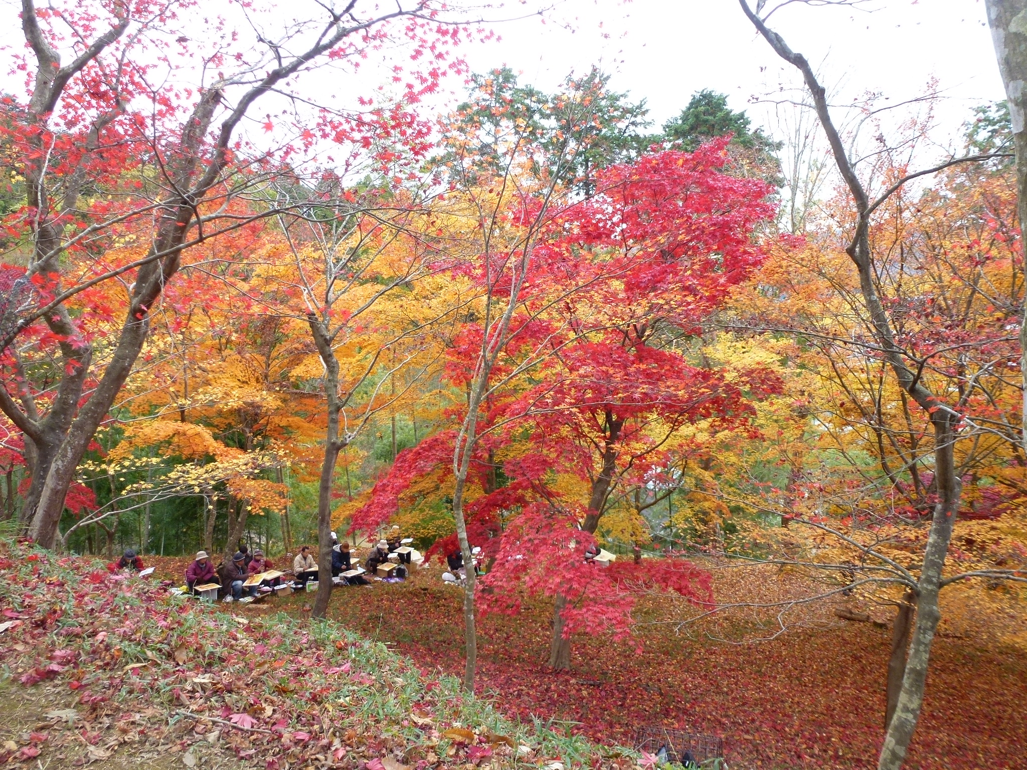 P1080242.JPG