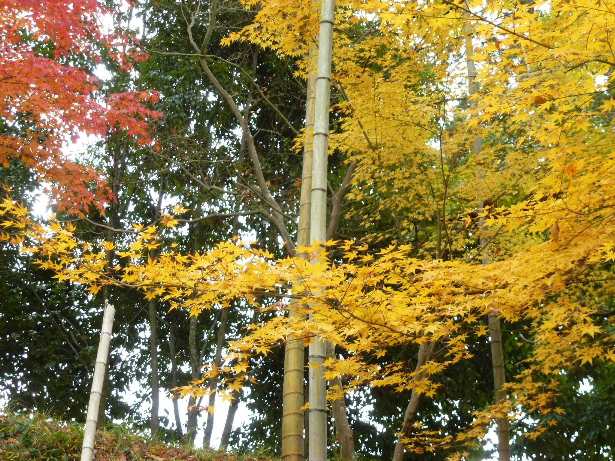 P1080255.JPG