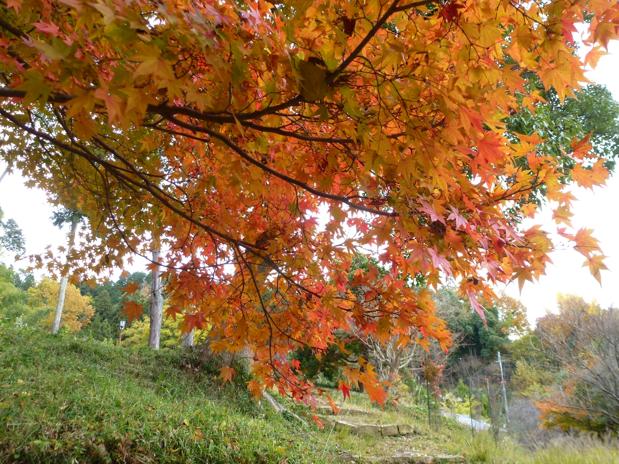 P1080257.JPG