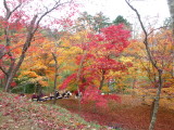 img0004.jpg