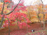 img0005.jpg