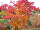 img0007.jpg