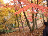img0010.jpg
