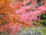 img0028.jpg