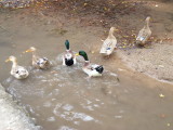 img0029.jpg