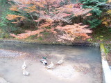 img0030.jpg