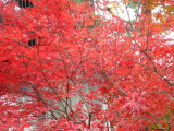 img0031.jpg