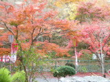 img0032.jpg