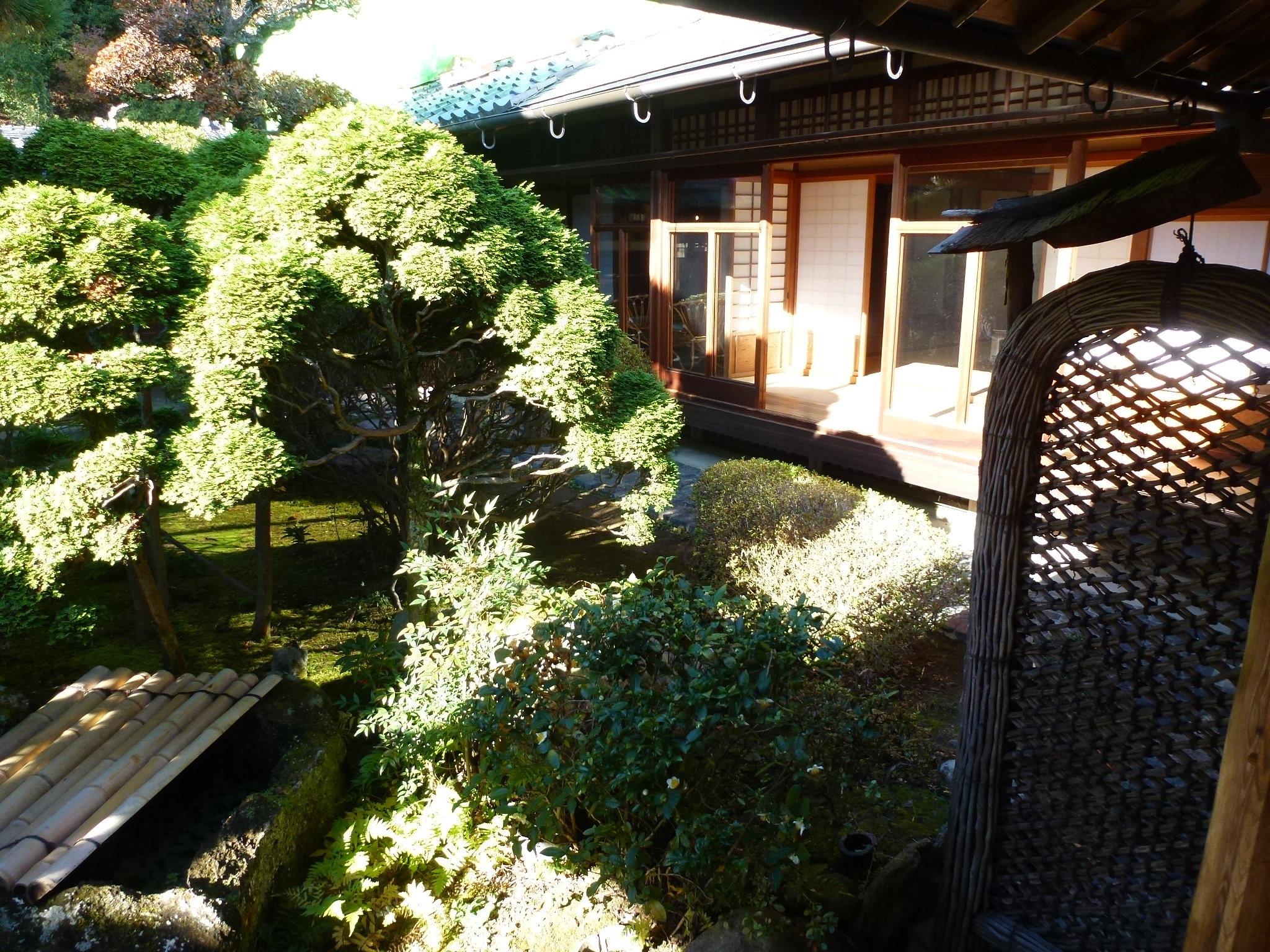 P1080284.JPG