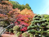 img0000.jpg