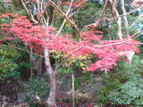 img0010.jpg