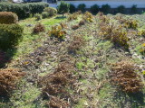img0017.jpg