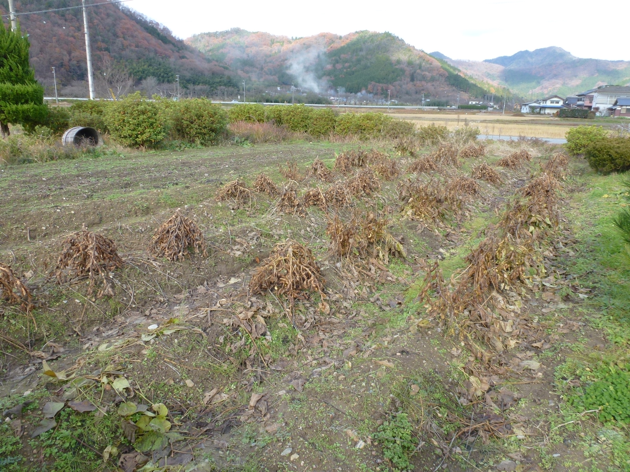 P1080468.JPG
