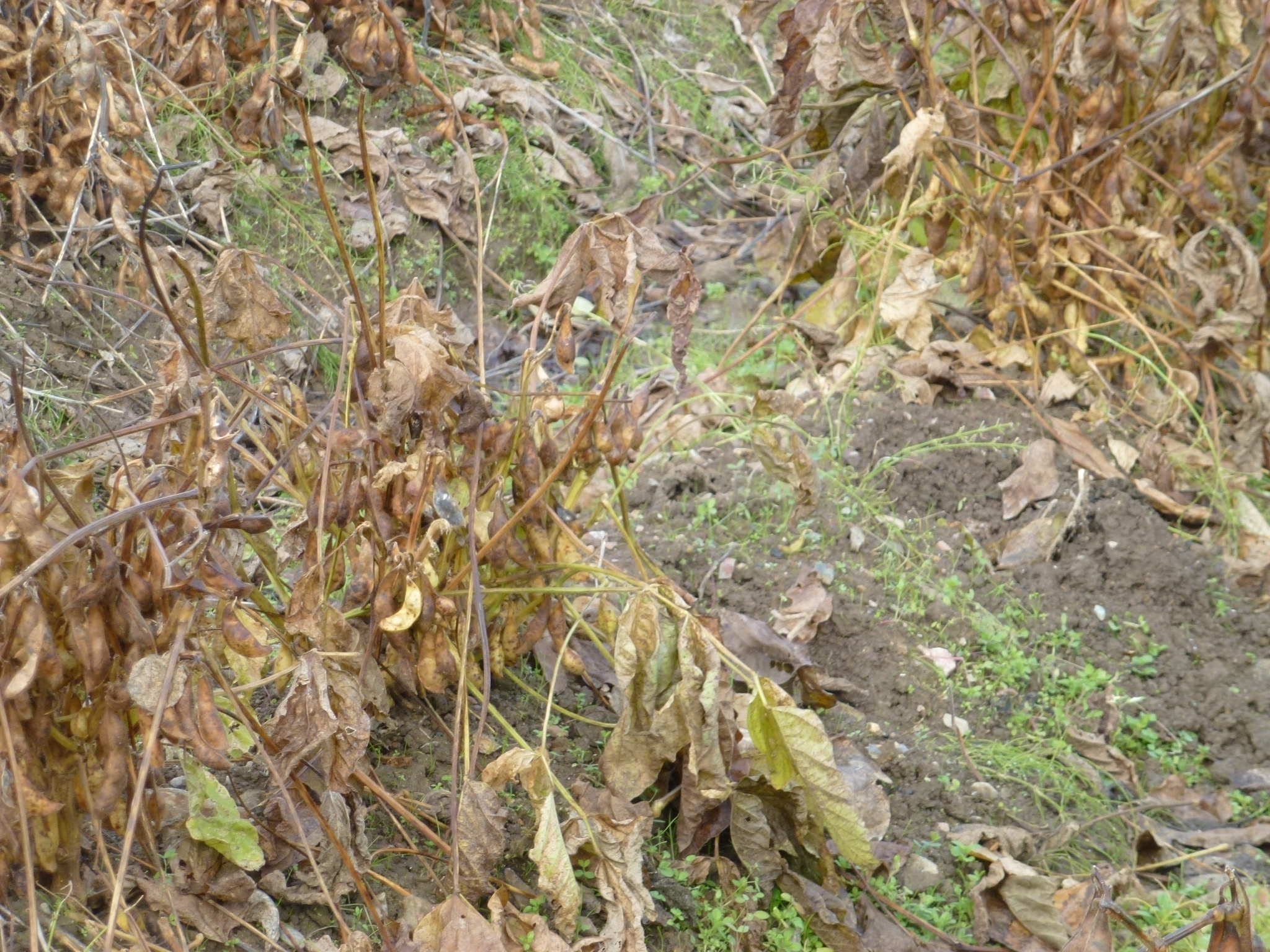 P1080469.JPG