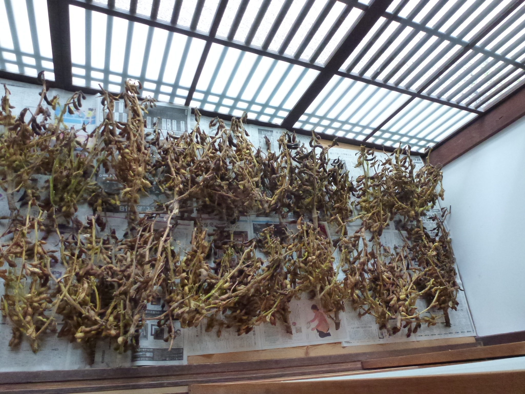 P1080471.JPG