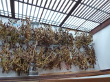 img0012.jpg