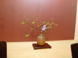 img0017.jpg