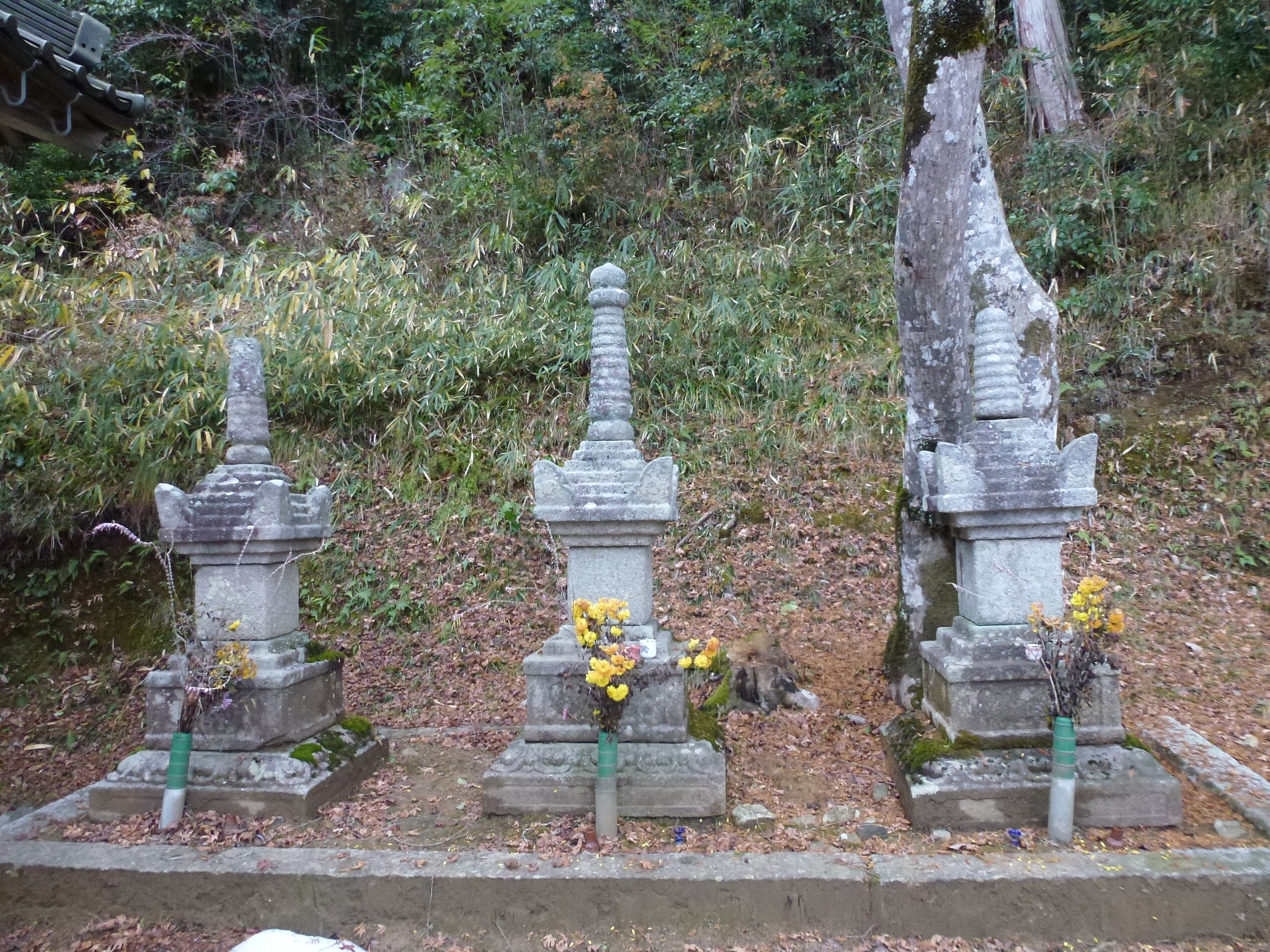 P1080652.JPG
