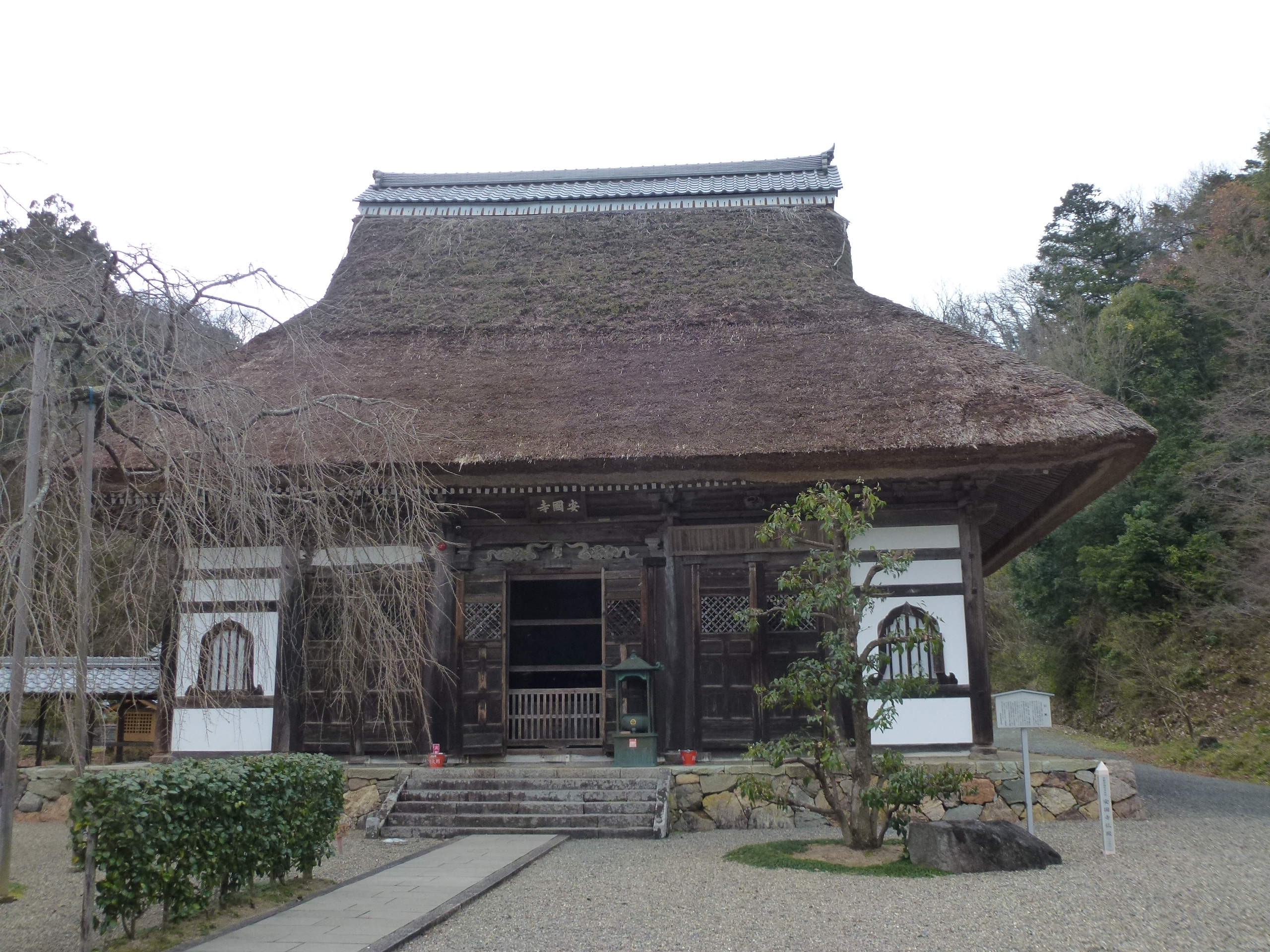 P1080654.JPG