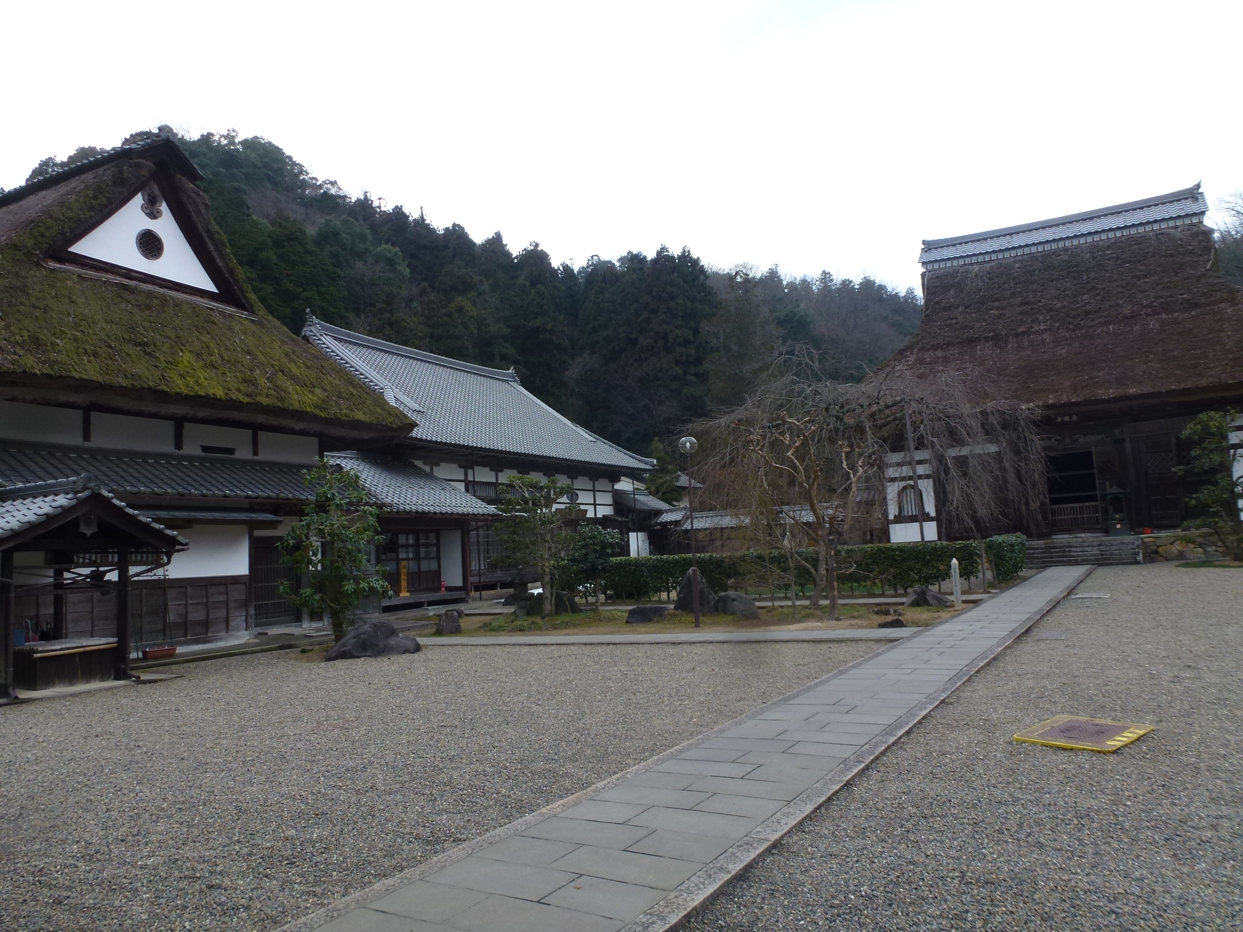 P1080661.JPG