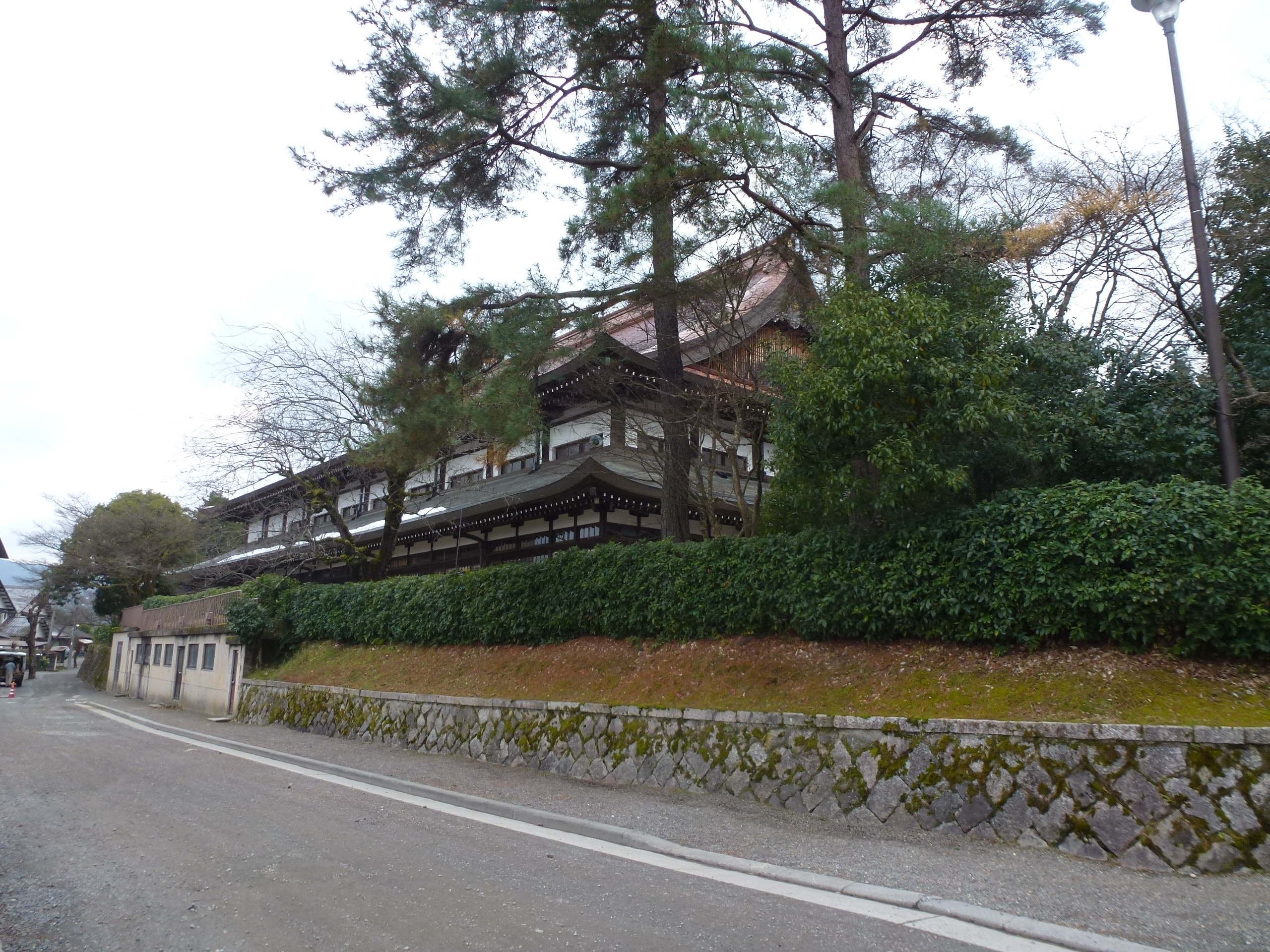 P1080667.JPG