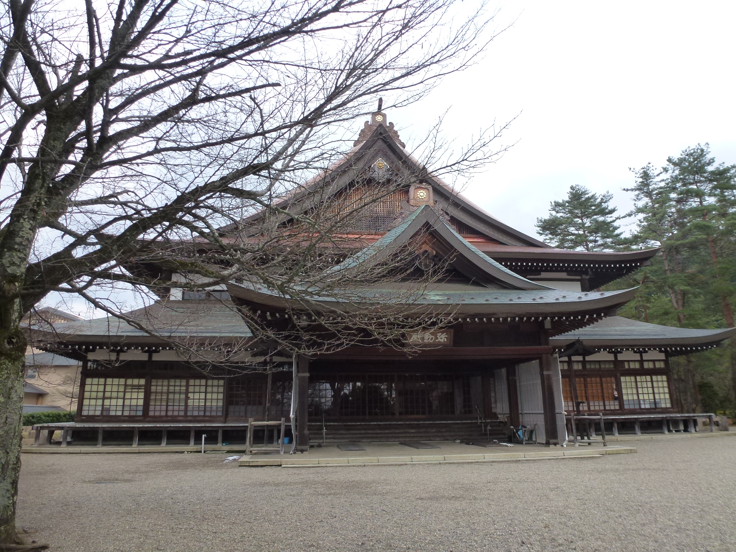 P1080668.JPG