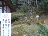 img0027.jpg