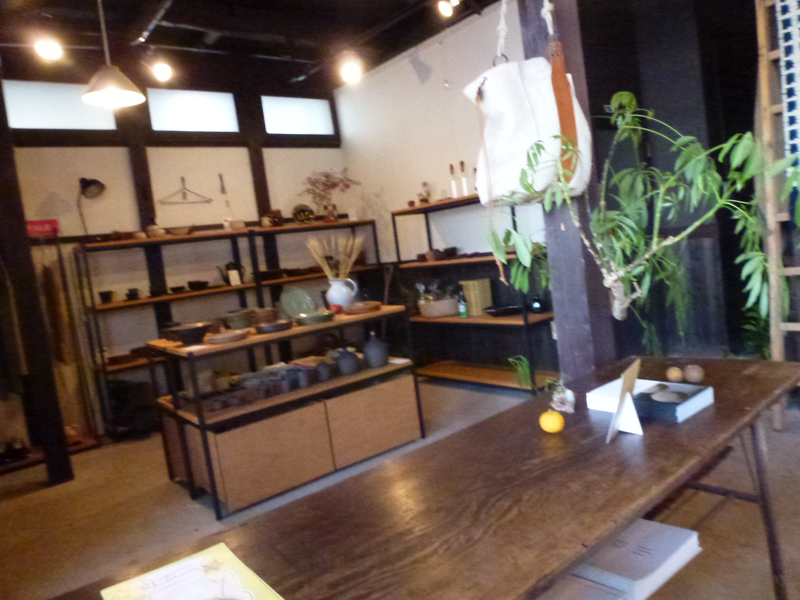P1080686.JPG