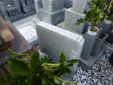 img0004.jpg